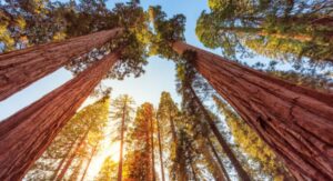 The 13 Best National Parks