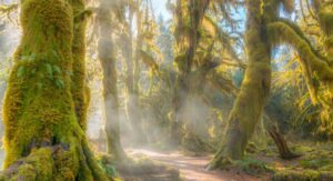 The 13 Best National Parks