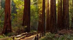 The 13 Best National Parks