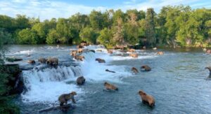 The 13 Best National Parks